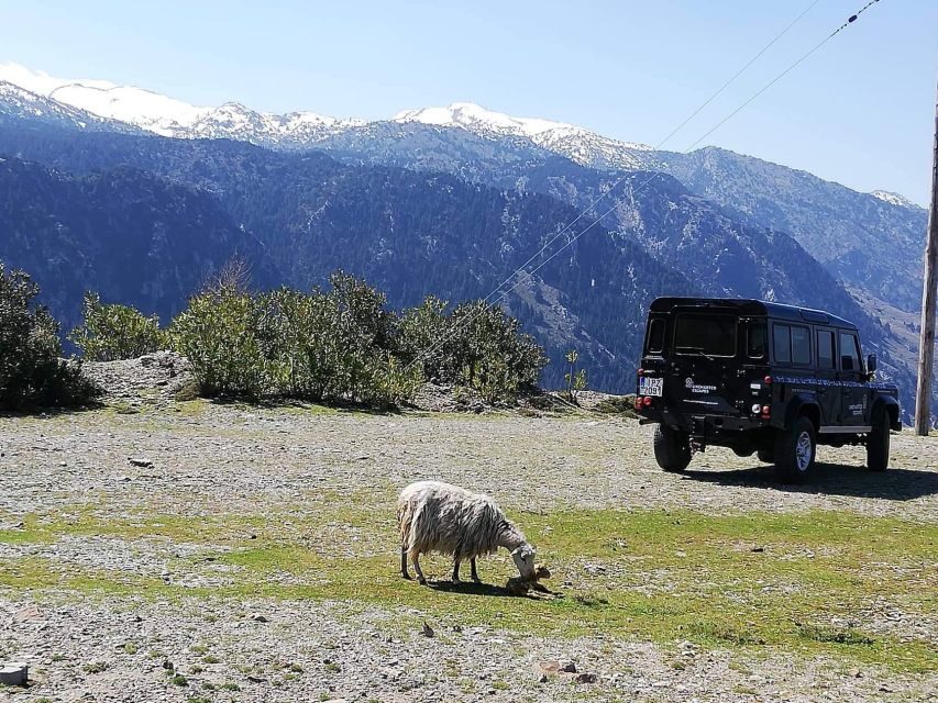 From Chania: White Mountains Land Rover Safari - The mountain tea and coffee stop: a quiet reset from the crowds
