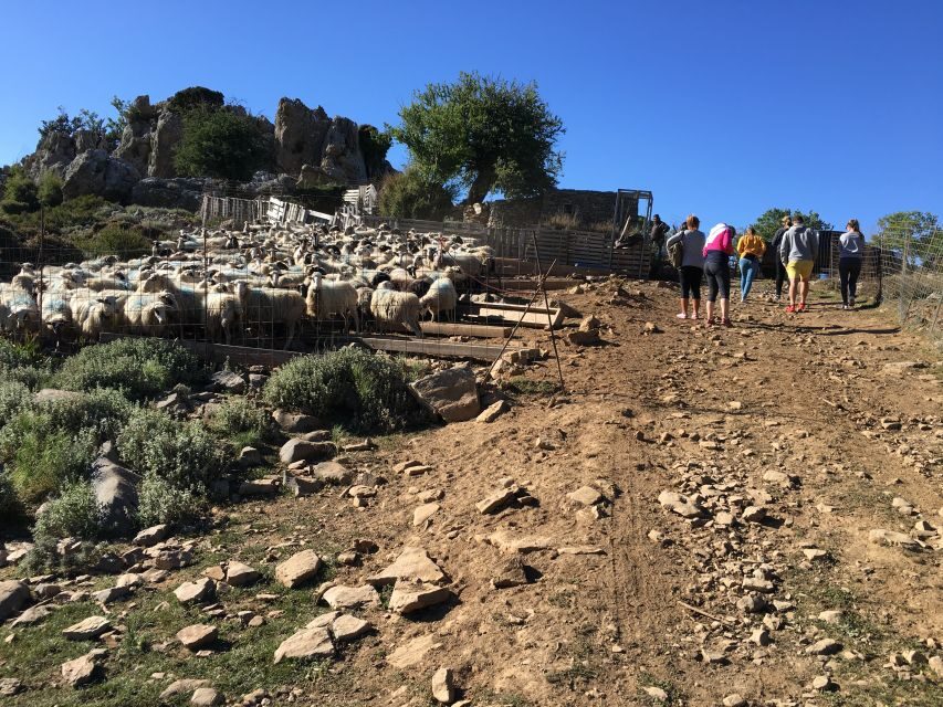 From Chania: White Mountains Land Rover Safari - Practical guidance: shoes, jacket, motion, and who should skip