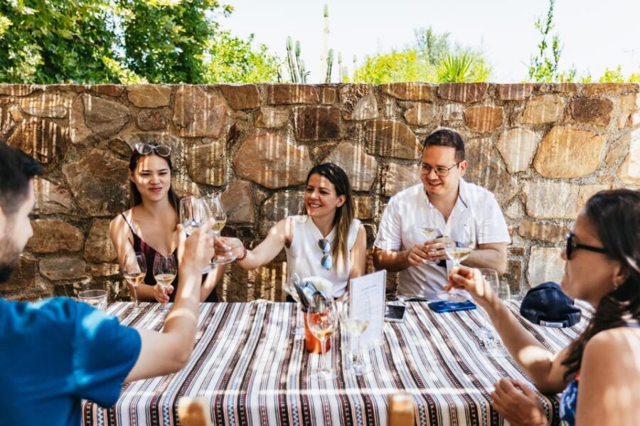 From Chania: Wine and Olive Oil Tasting Tour with Snacks - Why this Chania wine and olive oil day tour works