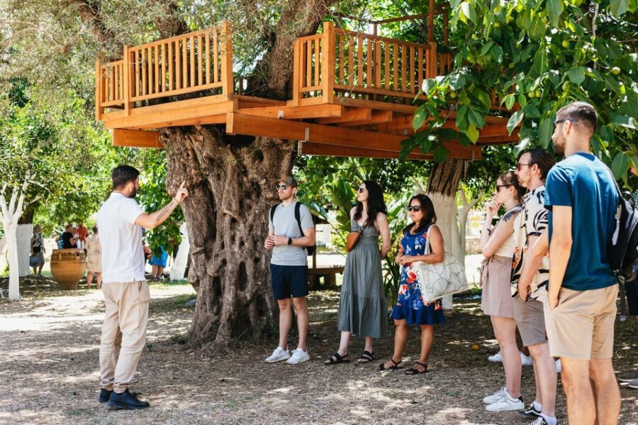 From Chania: Wine and Olive Oil Tasting Tour with Snacks - Stop 1: a family winery (established 1993) and a modern farming angle