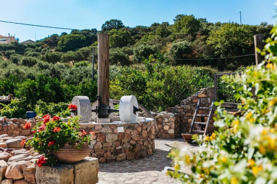 From Chania: Wine and Olive Oil Tasting Tour with Snacks - A traditional village pause and the oldest olive tree moment