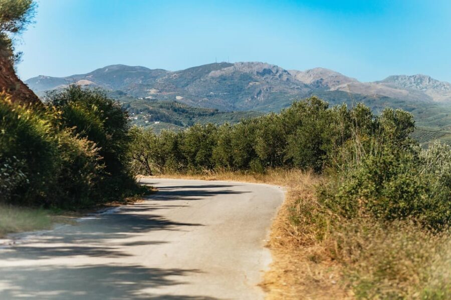 From Chania: Wine and Olive Oil Tasting Tour with Snacks - Snack breaks, lunch energy, and the Tsikoudia send-off