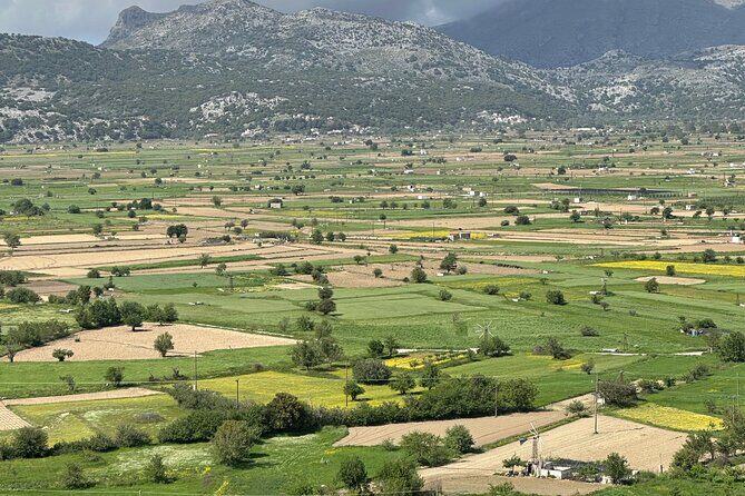 From Heraklion Private Day Tour Knossos-Lassithi Plateau - Price and value: is $660.77 per group worth it?