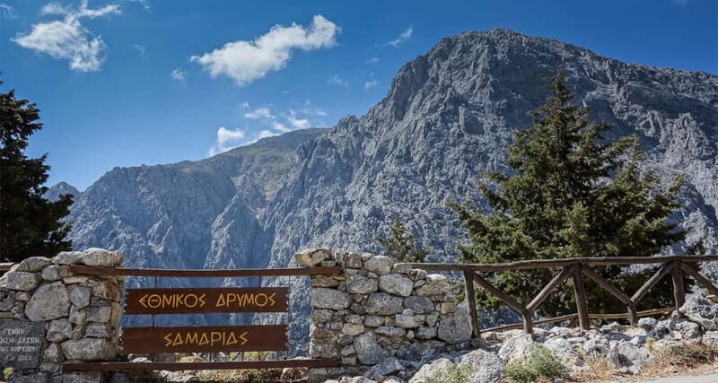 From Heraklion,Agia Pelagia,Malia: Samaria Gorge Guided Trip - The Nature Lesson Part: Rare Plants, Birds, and Ancient Forests