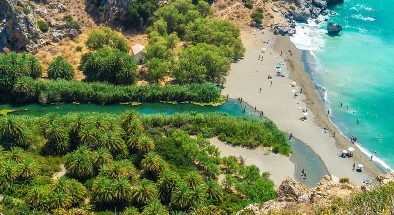 From Rethymno/Chania: Day Trip to Preveli Palm Beach - Preveli Palm Beach: the palm forest-meets-the-water moment