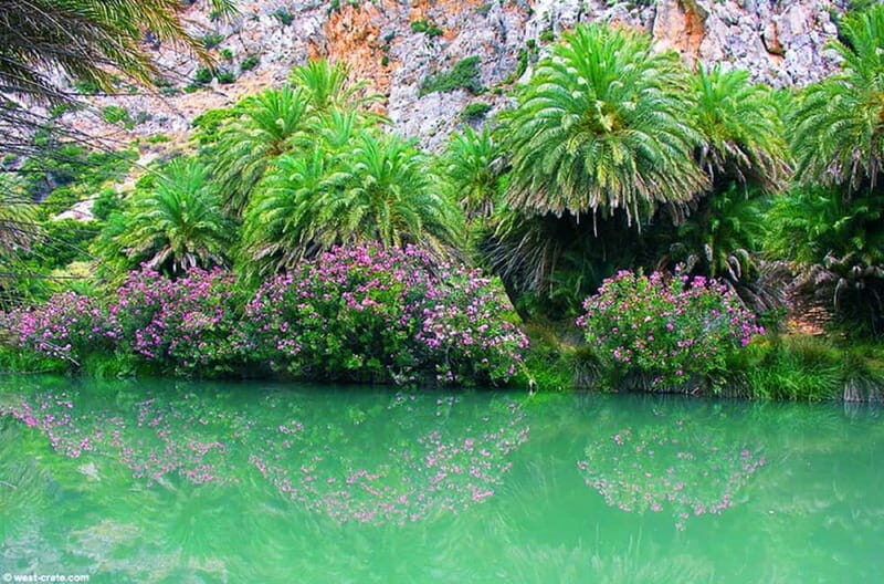 From Rethymno/Chania: Day Trip to Preveli Palm Beach - What the full day feels like: pace, timing, and comfort