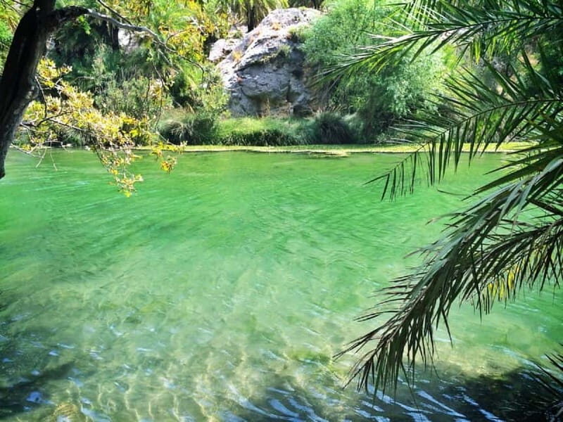 From Rethymno/Chania: Day Trip to Preveli Palm Beach - Who should book this day trip to Preveli and the gorge