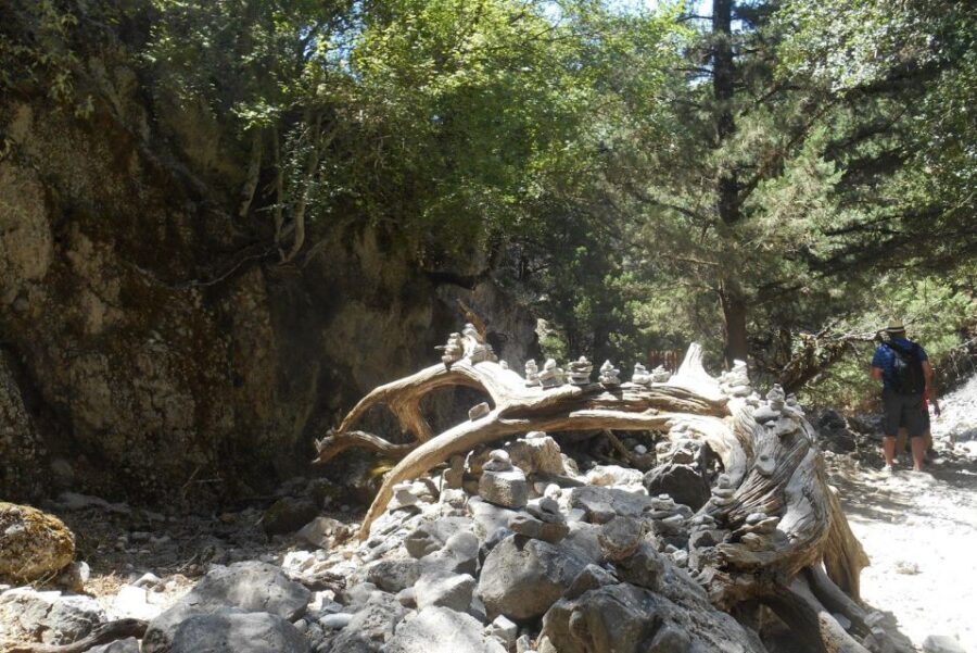 From Rethymno/Chania: Imbros Gorge Hike - Key points to know before you go