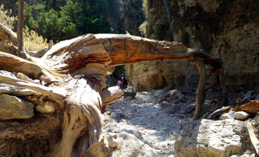 From Rethymno/Chania: Imbros Gorge Hike - Who this tour suits best