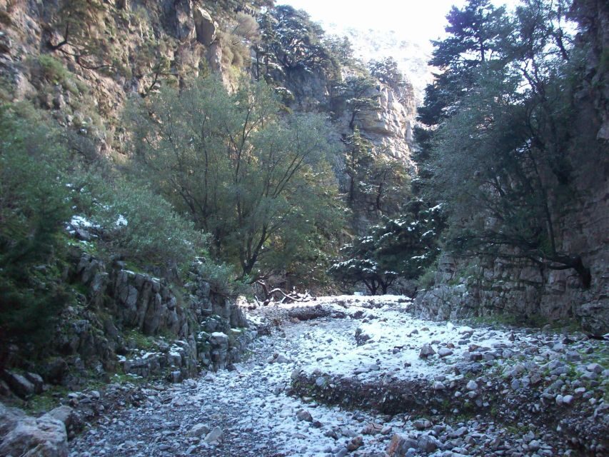 From Rethymno: Imbros Gorge & Libyan Guided Sea Tour - Rethymno Pickup and the Ride Into the White Mountains
