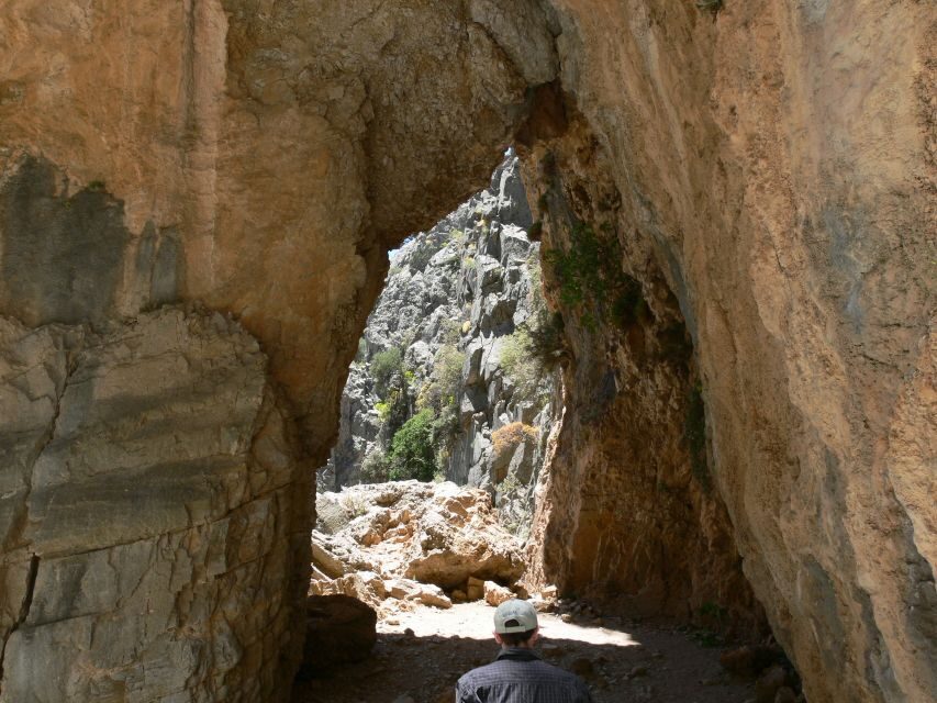 From Rethymno: Imbros Gorge & Libyan Guided Sea Tour - Chora Sfakion Stop via Komitades Village: Food, Views, and Quick Decisions