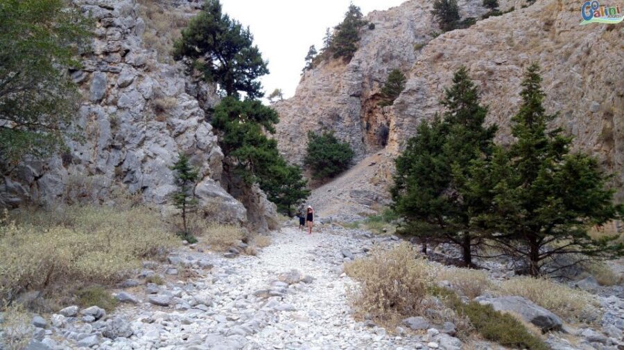 From Rethymno: Imbros Gorge & Libyan Guided Sea Tour - The Guide Experience: Multilingual Help That Matters on the Descent