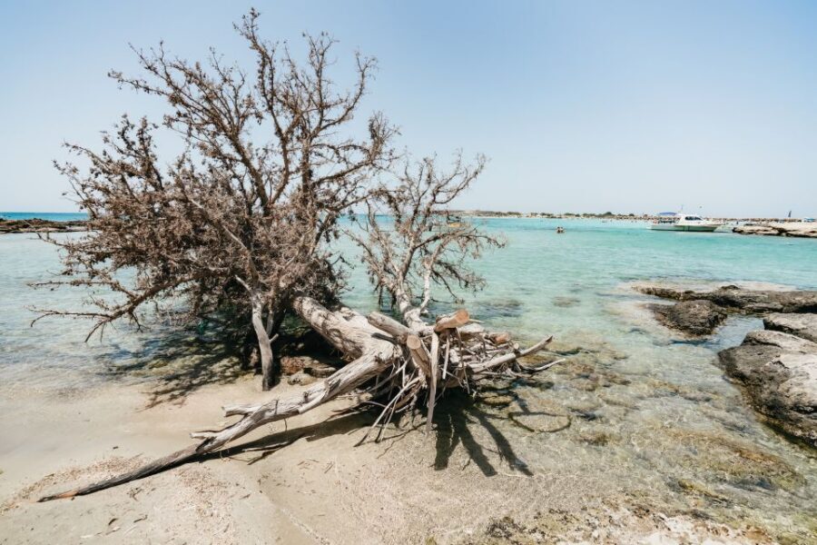 From Rethymno/Kavros: Elafonissi Pink Sand Beach Tour - Elos village break: where you can top up before beach time