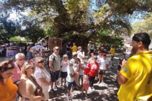 Full Day 4x4 Self-Drive Safari Tour in Crete with BBQ Lunch - Malia briefing: getting your bearings fast