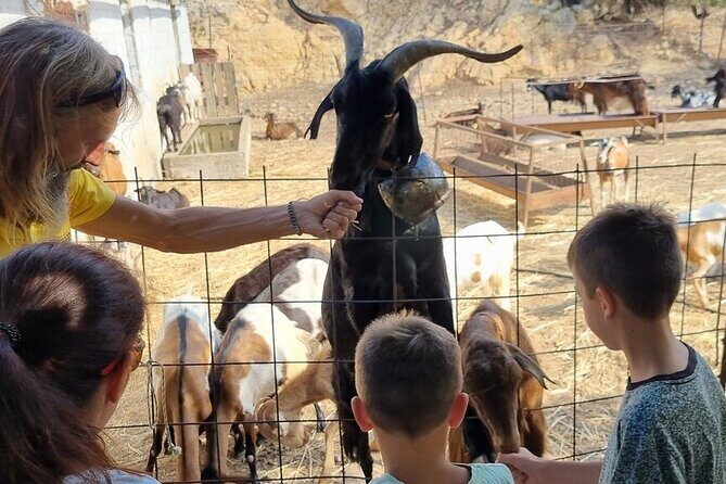 Full Day 4x4 Self-Drive Safari Tour in Crete with BBQ Lunch - Aposelemis dam and the Roman aqueduct ruins for photo buffs