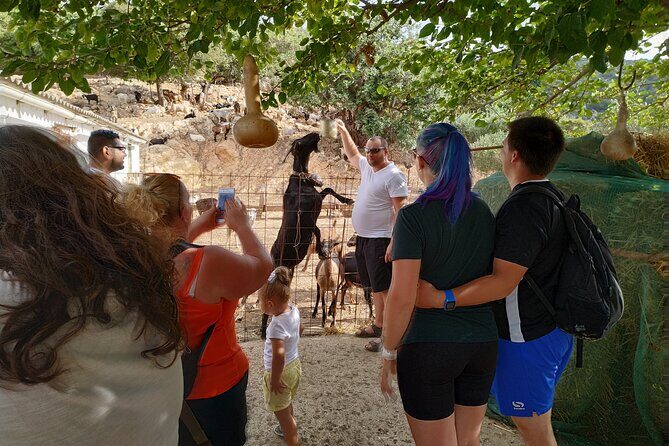 Full-Day Jeep Safari Tour with Cooking Lesson - Aposelemis Dam and Sfendili: a landscape altered by water systems