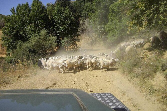 Full-Day Land Rover Safari from Heraklion with Lunch - Lassithi Plateau views, eco park vibes, and Seli village life