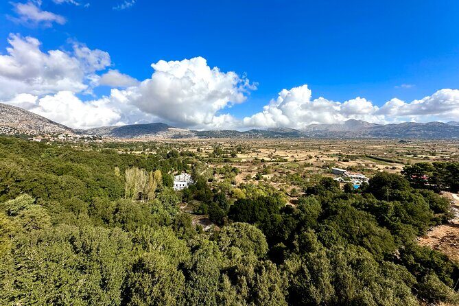 Full-Day Private Adventure: Knossos-Zeus’ Territory-Old Villages - Krasi’s ancient Platanus tree: shade, age, and a very Cretan way to pause