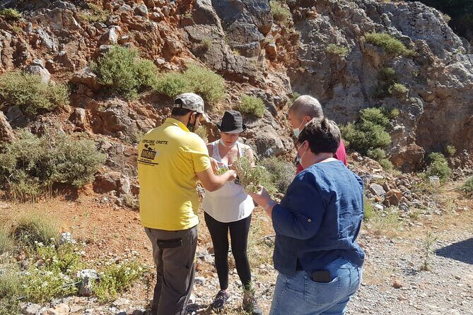 Full-Day Small-Group Tour in Crete with Zeus Cave Visit - Zeus Cave Reality Check: Optional Ticket, Possible Closure