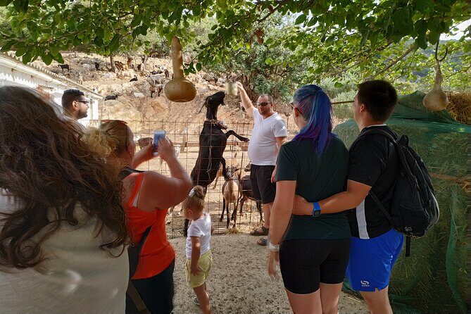 Full-Day Small-Group Tour in Crete with Zeus Cave Visit - Potamies Village Farm: Goat Milking and Cheese Making With Real Tastings
