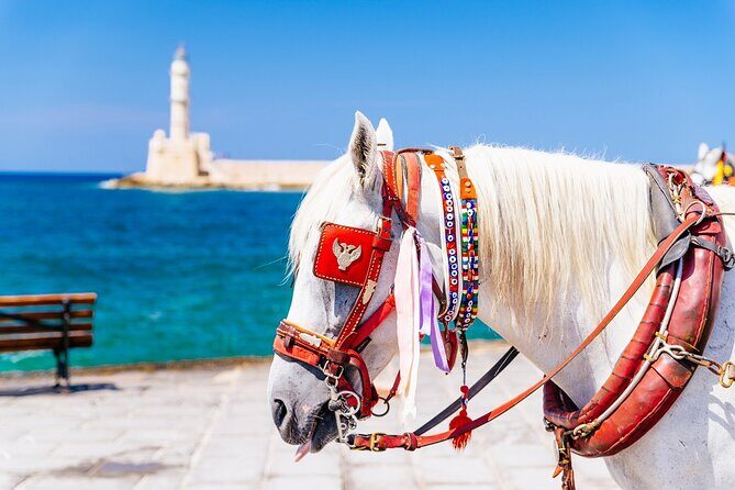 Full-Day Tour : Rethymno-Chania- Lake Kournas ( West Crete Tour ) - Lake Kournas: Sweet-Water Views, Lunch Options, And A Short Swim Window