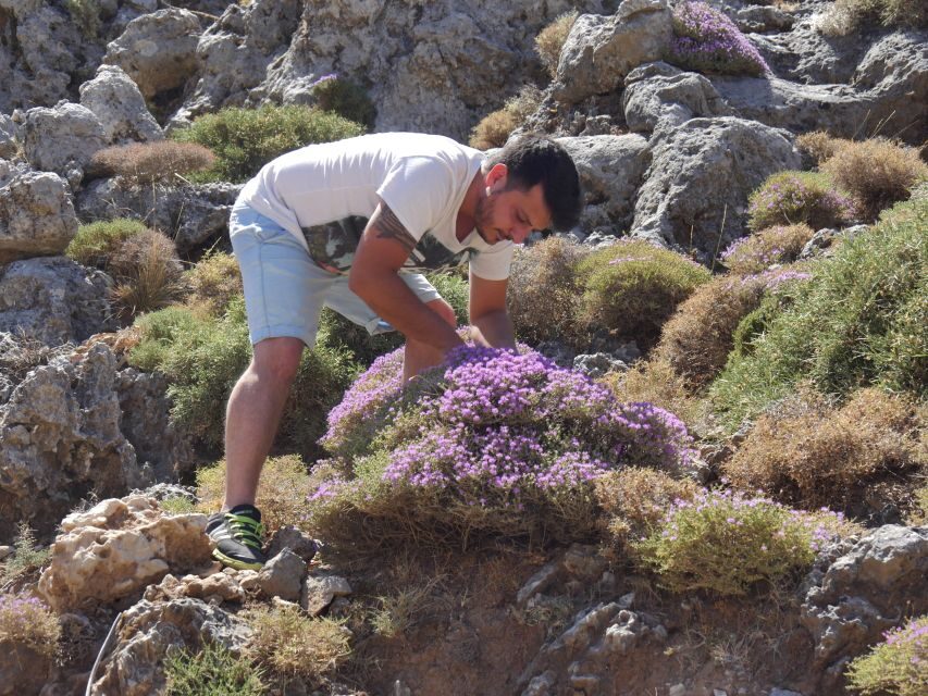 Georgioupolis Full-Day Land Rover Safari Experience - Getting From Rethymno and Chania to the “Can’t-Reach-By-Car” Crete