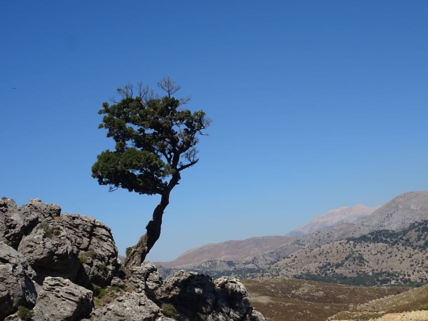 Georgioupolis Full-Day Land Rover Safari Experience - White Mountains Off-Road Driving: The Part You’ll Remember