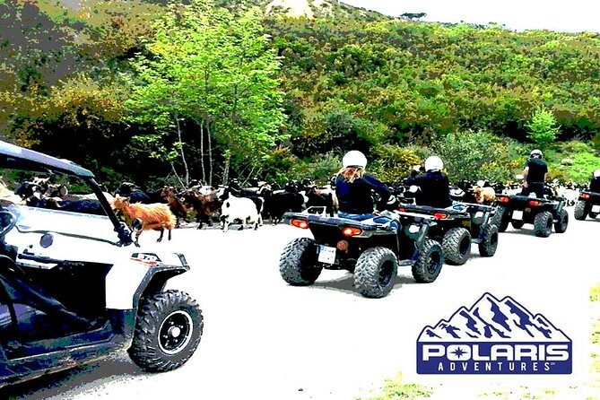 Half-Day Rethymno Quad Safari - Guides and group vibe: the people behind the helmets