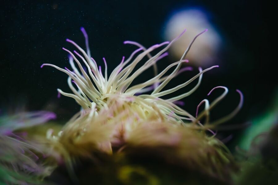 Heraklion Area: CRETAquarium Admission Ticket - When to go: summer crowds and the 11:00 AM to 4:00 PM rush