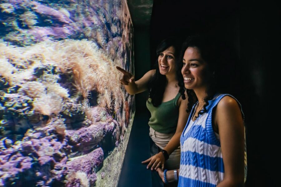 Heraklion Area: CRETAquarium Admission Ticket - Is it worth it for your group? Best matches and common nitpicks