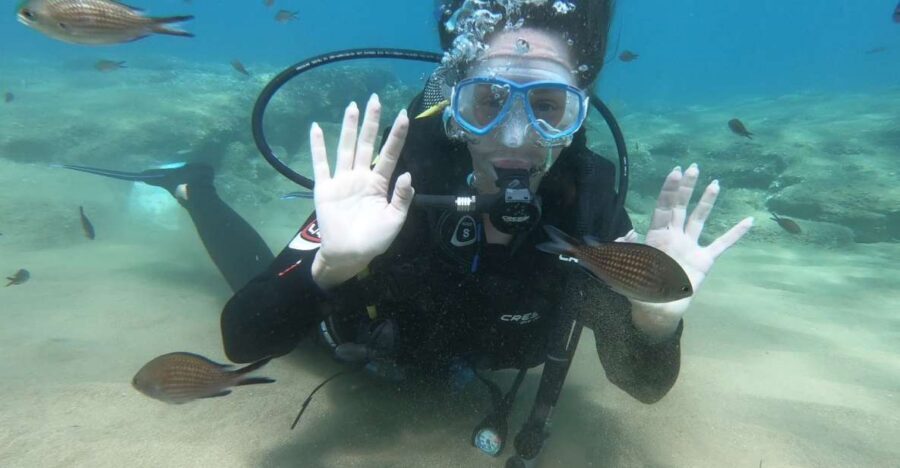 Heraklion: Beginner Scuba Diving Lesson with PADI Instructor - Key Things to Know Before You Go