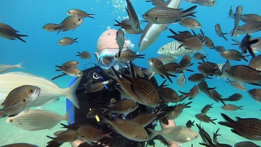 Heraklion: Beginner Scuba Diving Lesson with PADI Instructor - Who should book, and who should skip it
