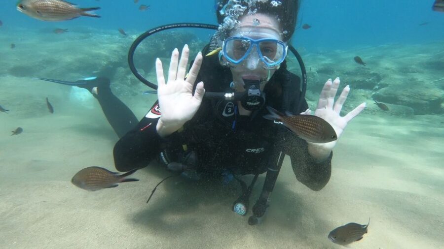 Heraklion: Beginner Scuba Diving Lesson with PADI Instructor - Agia Pelagia bay underwater session: what you’ll experience at a gentle pace