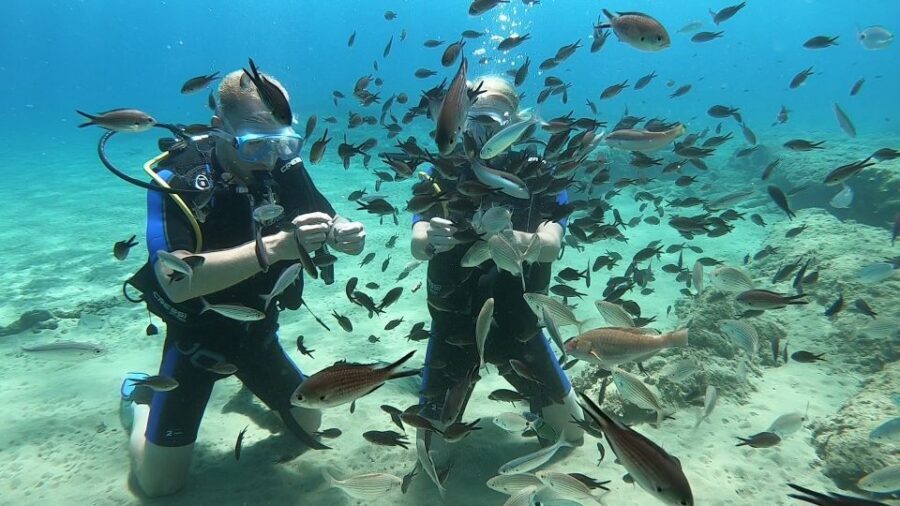 Heraklion: Beginner Scuba Diving Lesson with PADI Instructor - Instructor attention in a small group: the Petros and Armando effect