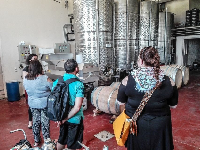 Heraklion: Cretan Wine Tasting Tour & Gourmet Lunch - Who This Tour Fits Best (and Who Should Skip It)
