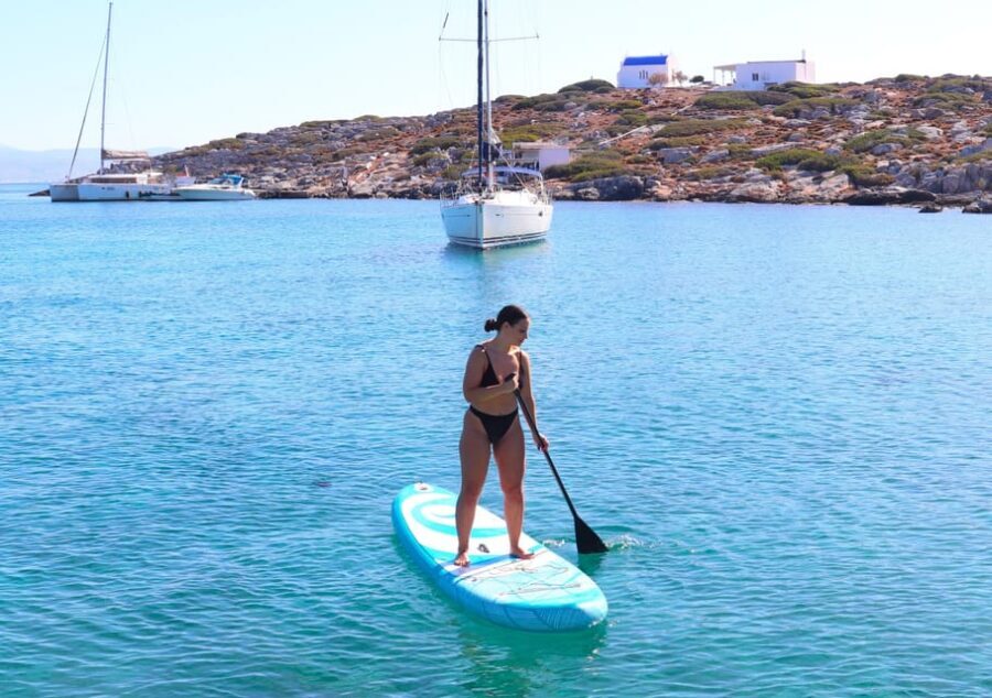 Heraklion: Dia Island Luxury Catamaran Cruise with Meal - The Onboard Lunch: Cretan-Style Food Plus Diet-Friendly Options