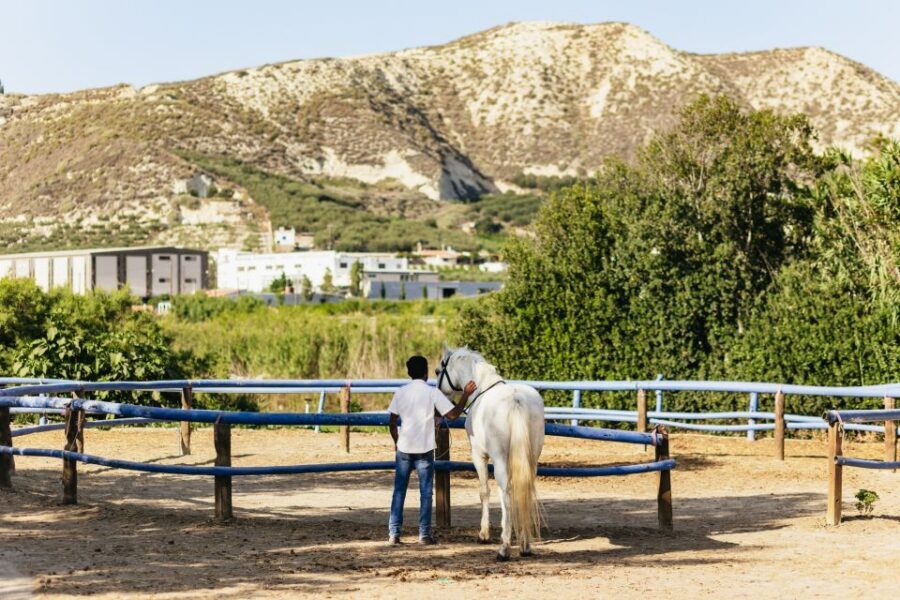 Heraklion: Finikia Horse Riding Tour with Lunch or Dinner - Entering Finikia Horseriding: coffee, safety form, helmet, and a weight check
