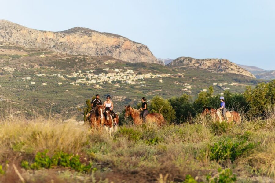 Heraklion: Finikia Horse Riding Tour with Lunch or Dinner - Lunch or dinner in the garden: Cretan comfort food and homemade wine