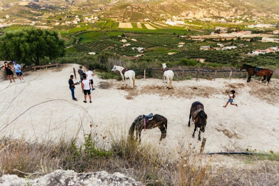 Heraklion: Finikia Horse Riding Tour with Lunch or Dinner - Horses, skill levels, and when the tour turns into a faster ride