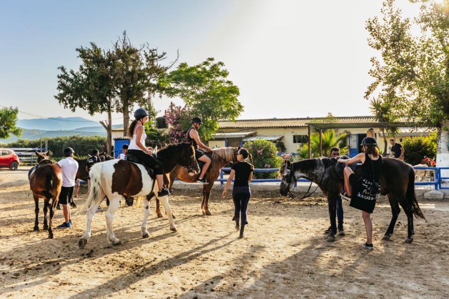 Heraklion: Finikia Horse Riding Tour with Lunch or Dinner - Hosts and farm atmosphere: the part you can’t replicate with a photo tour