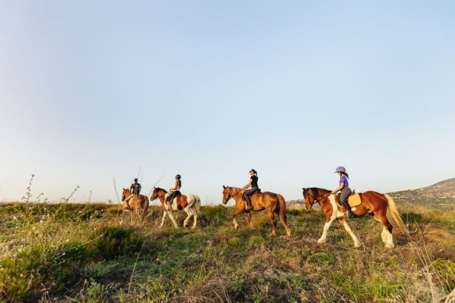 Heraklion: Finikia Horse Riding Tour with Lunch or Dinner - Getting there near Heraklion: transfers vs driving yourself