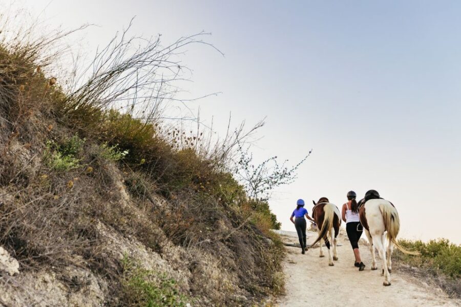 Heraklion: Finikia Horse Riding Tour with Lunch or Dinner - What to bring (and what to wear) for morning vs moonlight riding