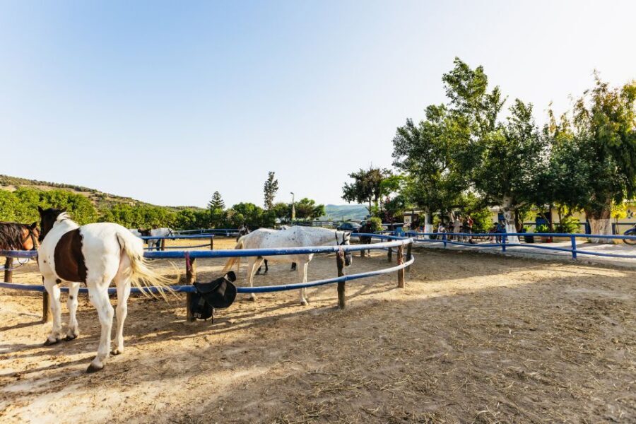 Heraklion: Finikia Horse Riding Tour with Lunch or Dinner - Two hours of riding through the Finikia mountains (with a myth stop)