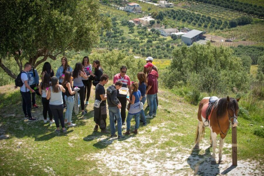 Heraklion: Horseriding Day Tour with Lunch and Transfer - Finikia Mountains: Why This Ride Feels More Cretan Than Touristy