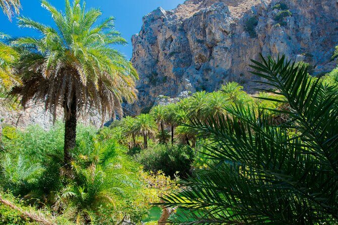 Heraklion: Preveli Boat Trip, Damnoni & Kourtaliotiko springs - Damnoni Beach Break: Coves, Swimming, and Lunch Time