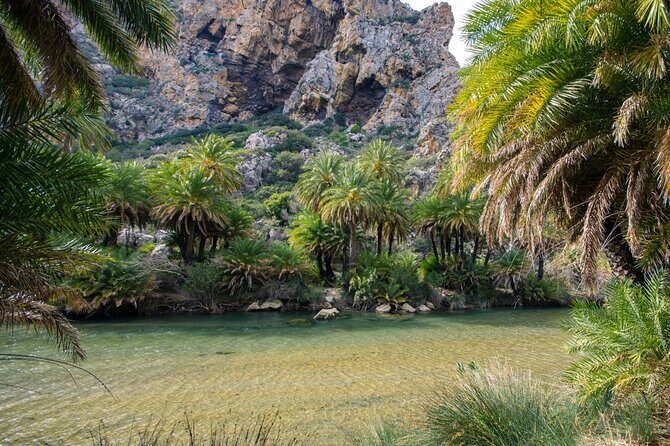 Heraklion: Preveli Boat Trip, Damnoni & Kourtaliotiko springs - Preveli Palm Beach by Boat: The Palm Forest-River Moment