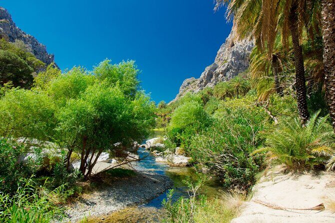 Heraklion: Preveli Boat Trip, Damnoni & Kourtaliotiko springs - Who This Tour Fits Best (and Who Might Want Another Plan)
