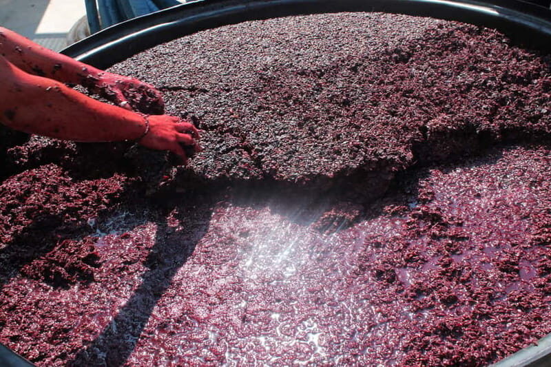 Heraklion: Private Food and Wine Tour with a local Sommelier - Second family-run winery: vineyard tour and indigenous-variety tastings