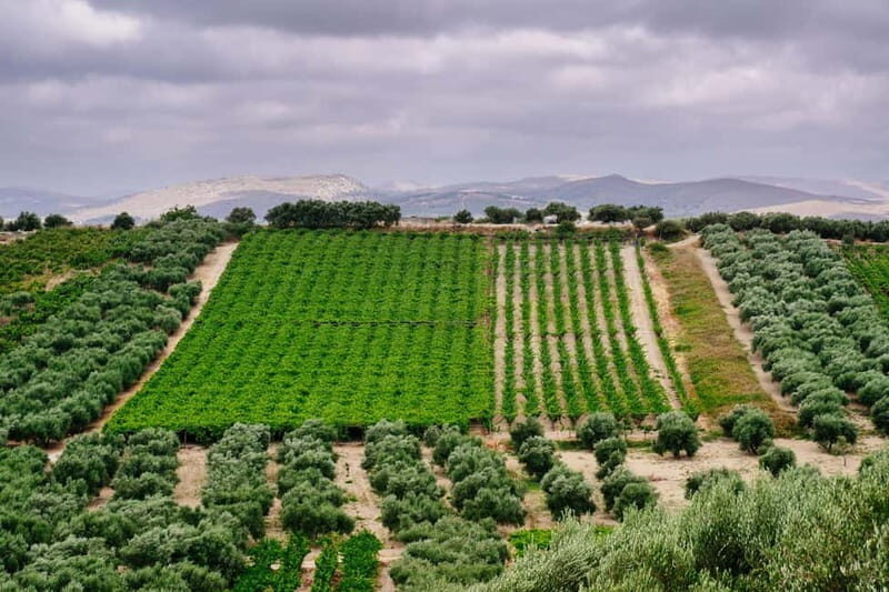 Heraklion: Private Food and Wine Tour with a local Sommelier - Pickup rhythm, timing, and what the full day feels like