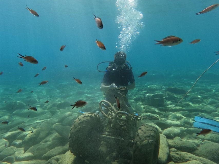 Heraklion: Scuba Diving Experience for Beginners _Beach - Sunlight, fish, and rock formations: what you should watch for
